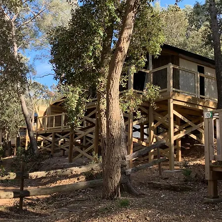 Buffalo Hacienda *