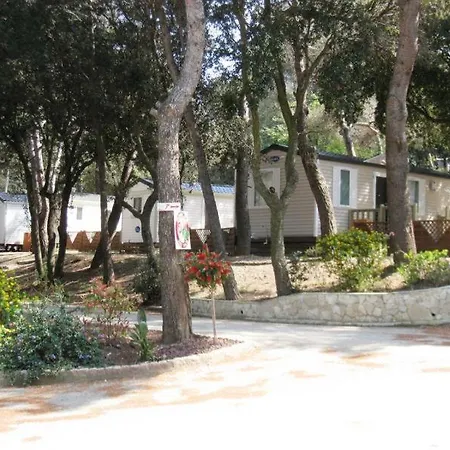 Κάμπινγκ Familial Buffalo Hacienda *